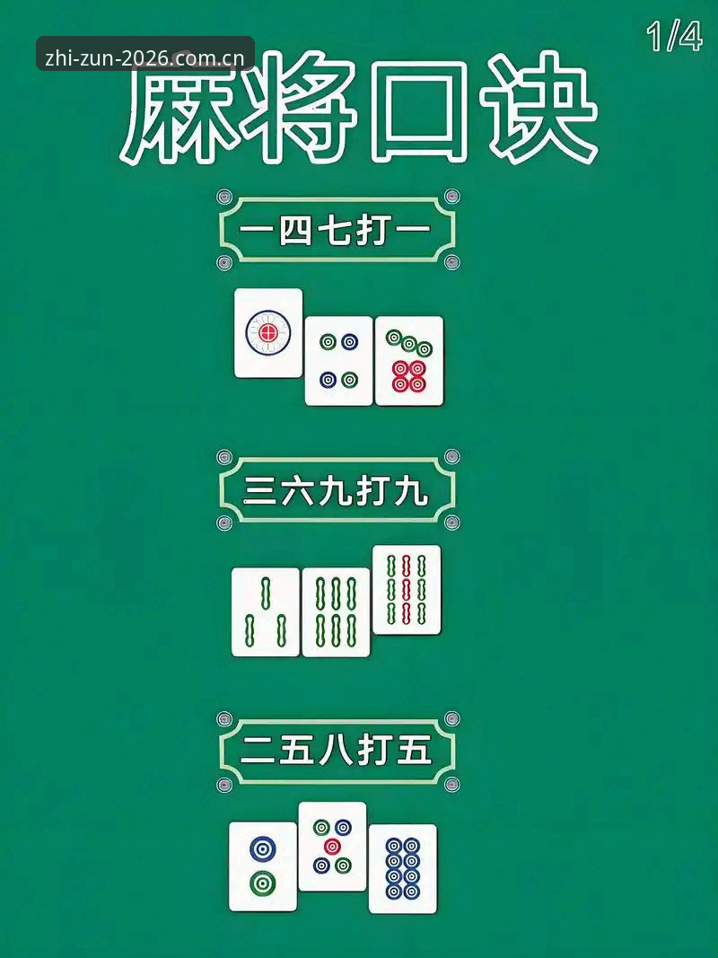 新手必看：至尊棋牌使用教程的6个关键步骤，从下载到高手进阶